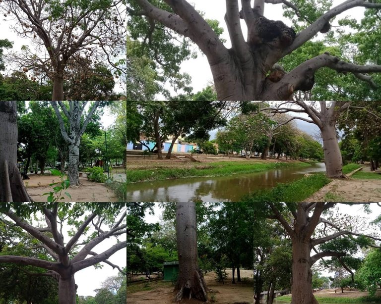parque.jpeg
