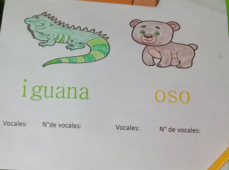 iguana.png