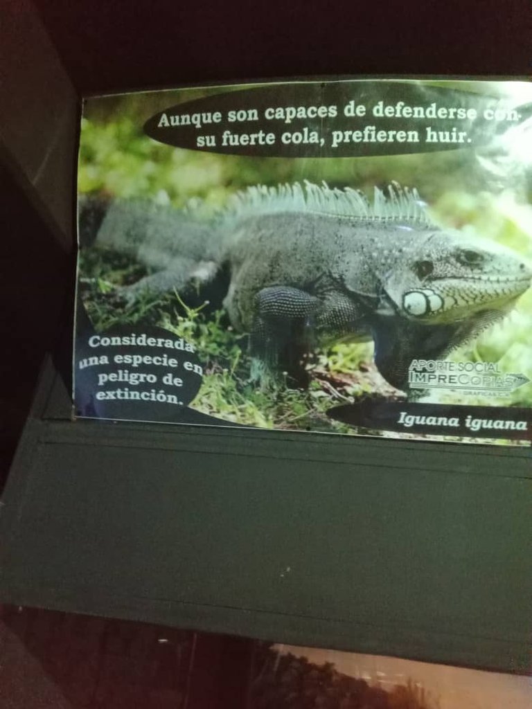 museo (45).jpeg