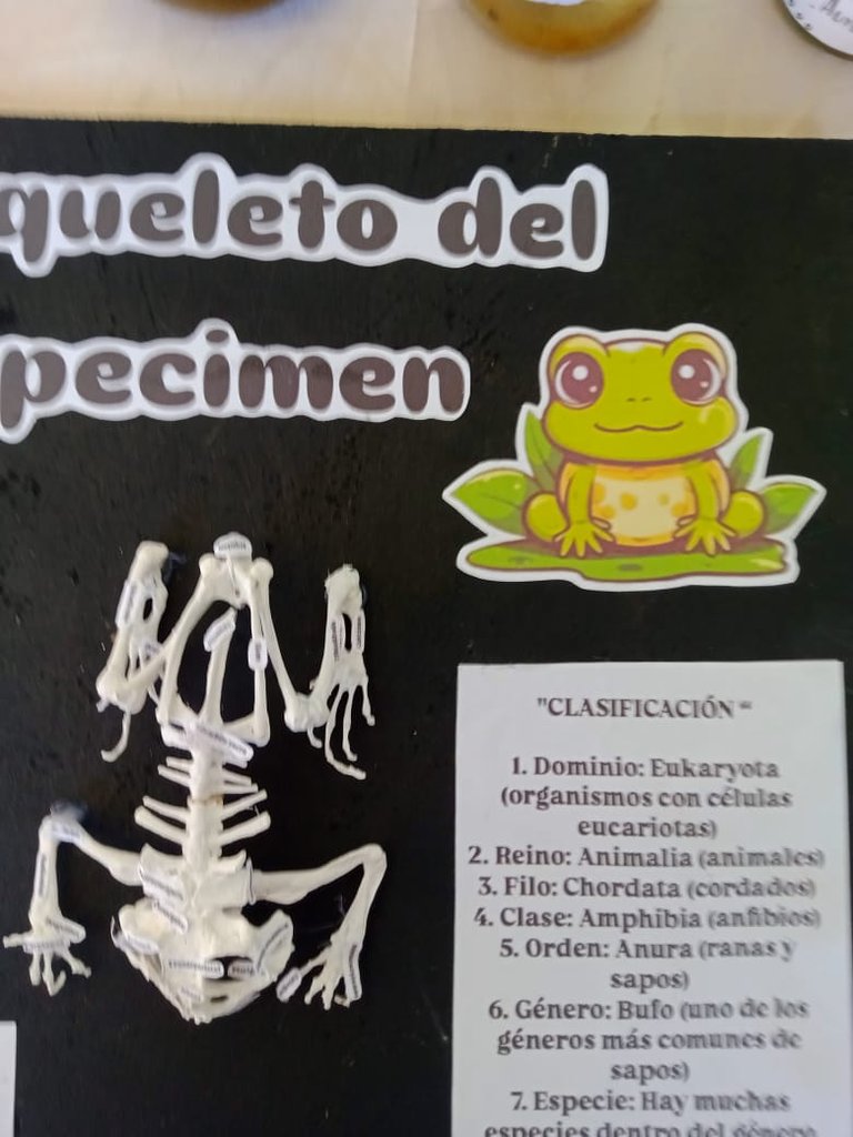 maqueta (4).jpeg