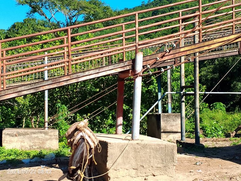 PUENTE CEDEÑO (21).jpeg