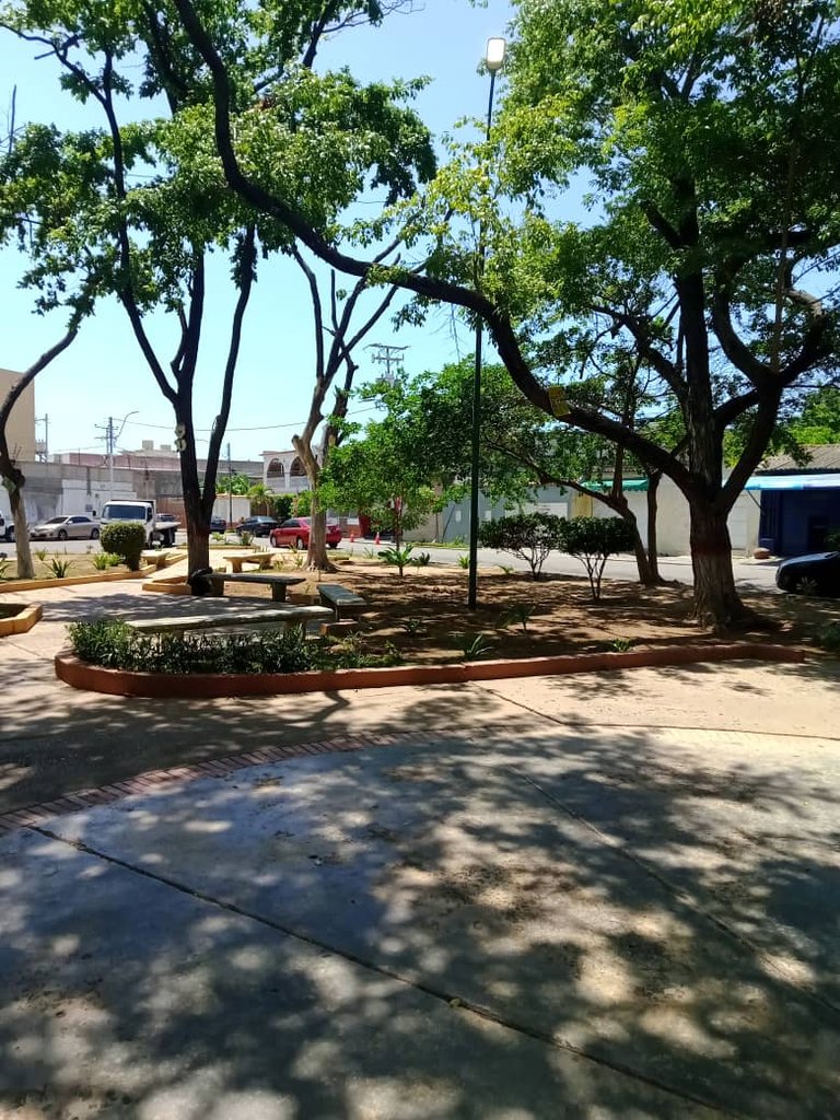 plaza (6).jpeg
