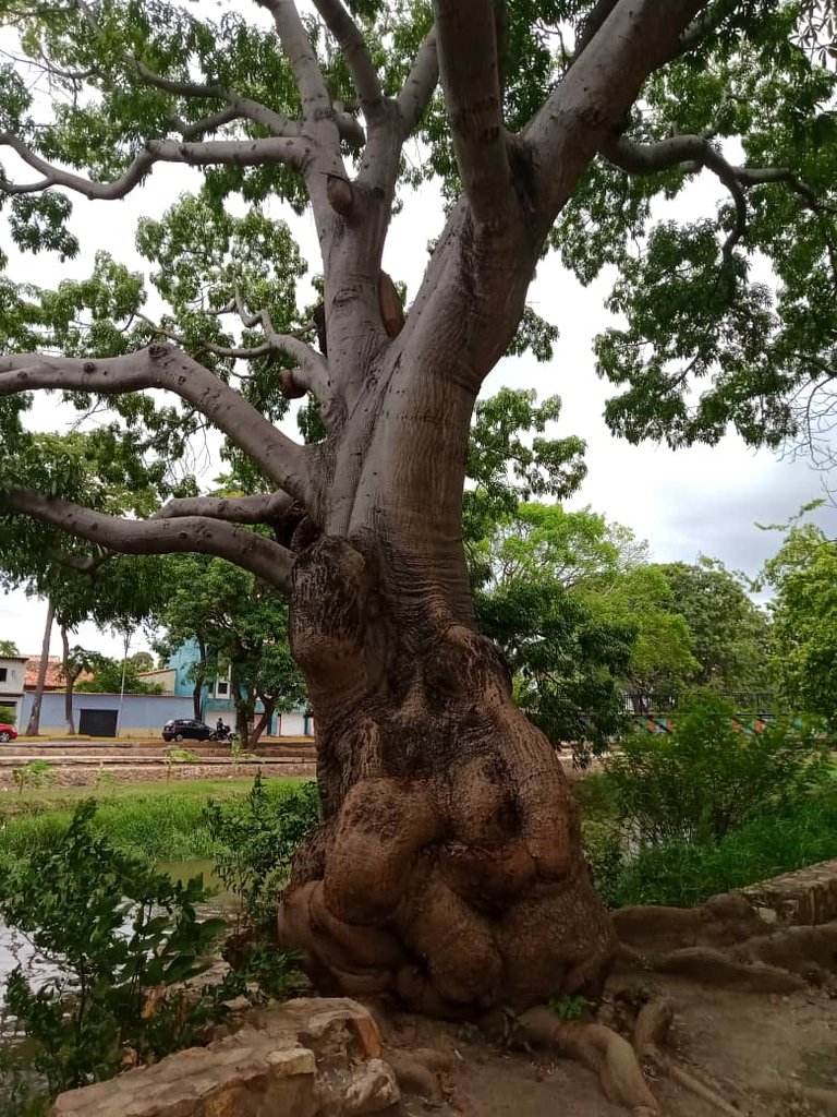 paseo guaiquerí (16).jpeg