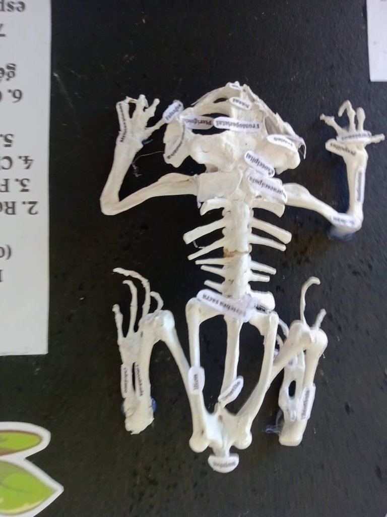 maqueta (3).jpeg