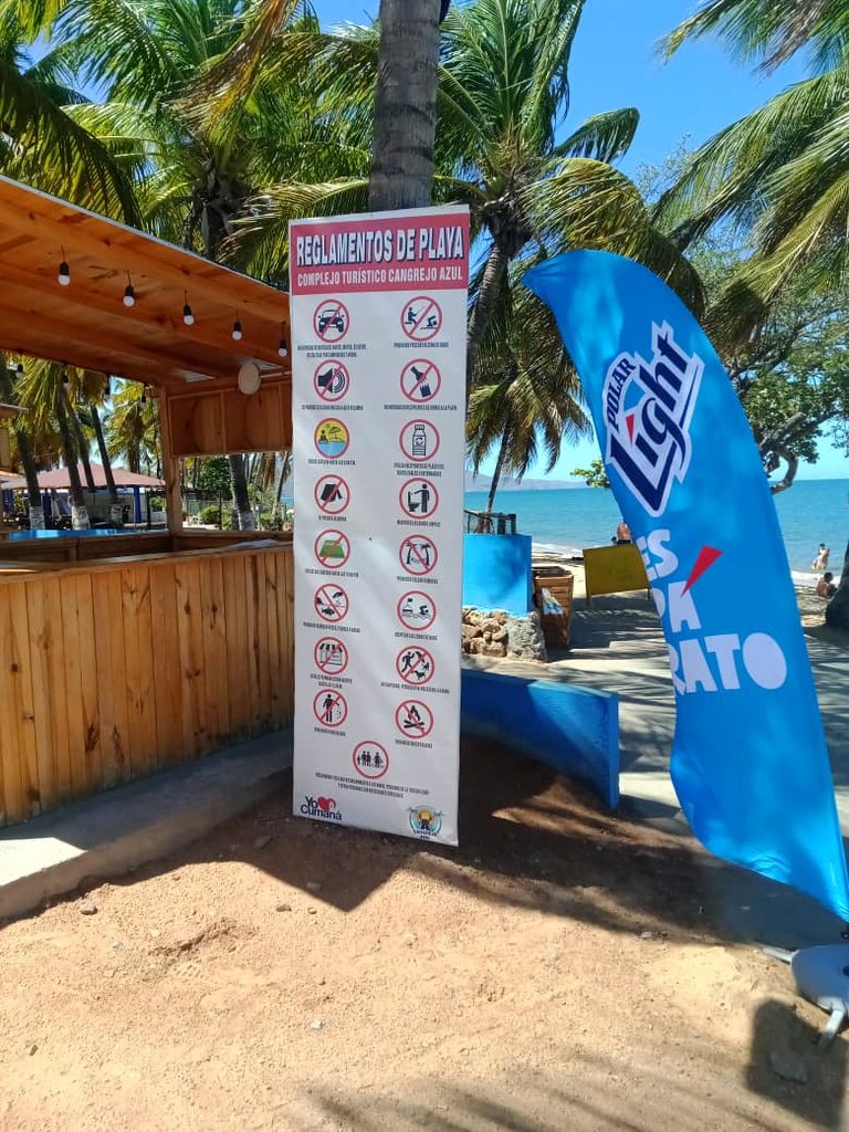 cangrejo azul (24).jpeg