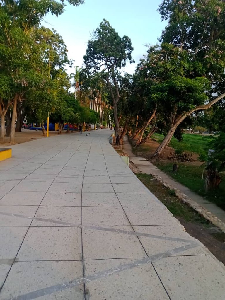 paseo vespertino parque ayacucho (31).jpeg