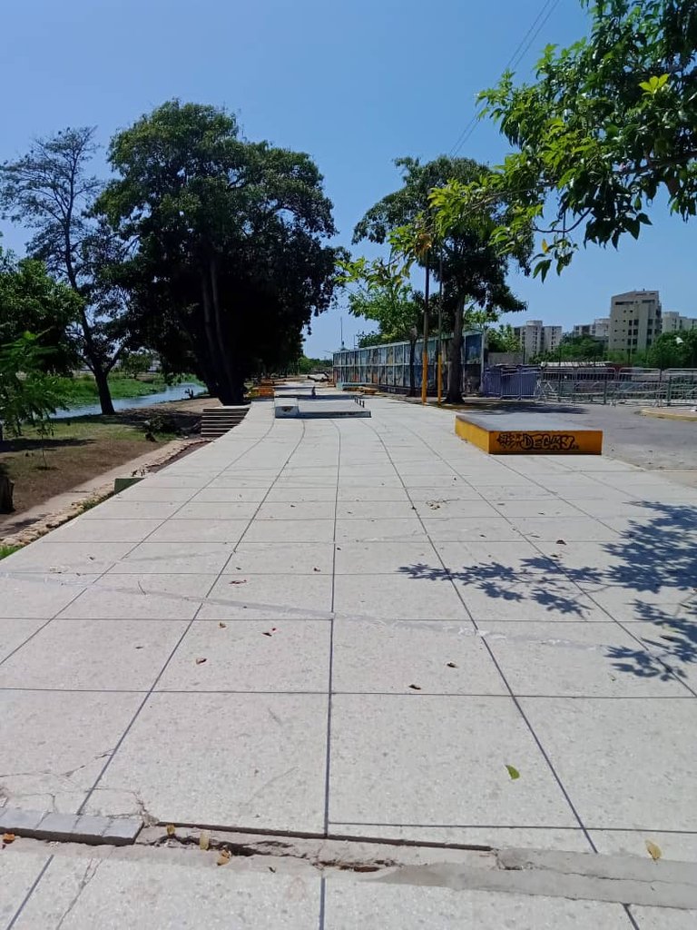 skateboard (6).jpeg