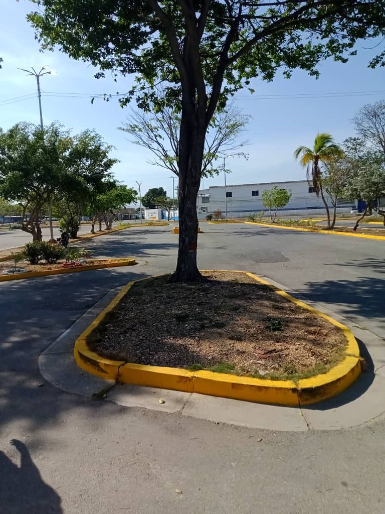 redoma castilito (18).jpeg