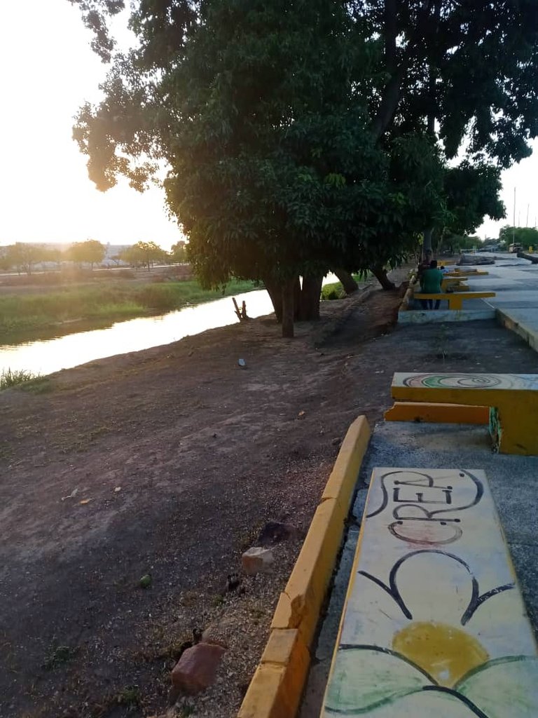 paseo vespertino parque ayacucho (26).jpeg