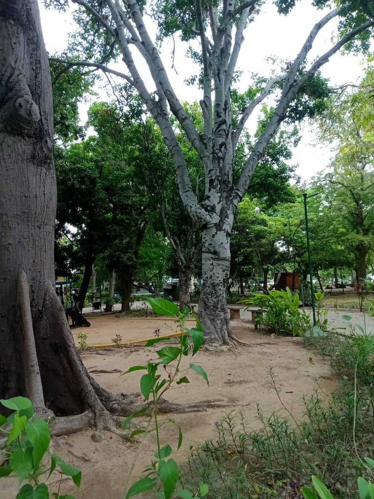 paseo guaiquerí (3).jpeg