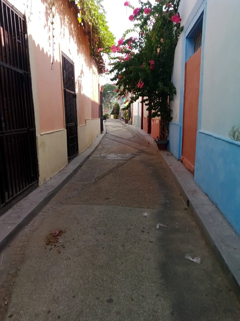 ciudad mural (42).jpeg