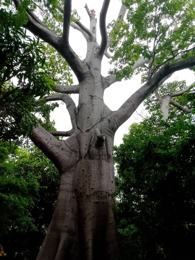 paseo guaiquerí (11).jpeg