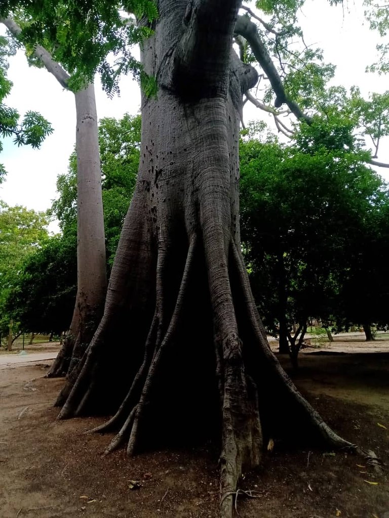 paseo guaiquerí (18).jpeg