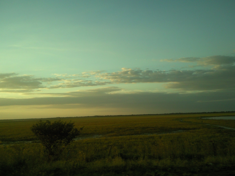 llano9.png