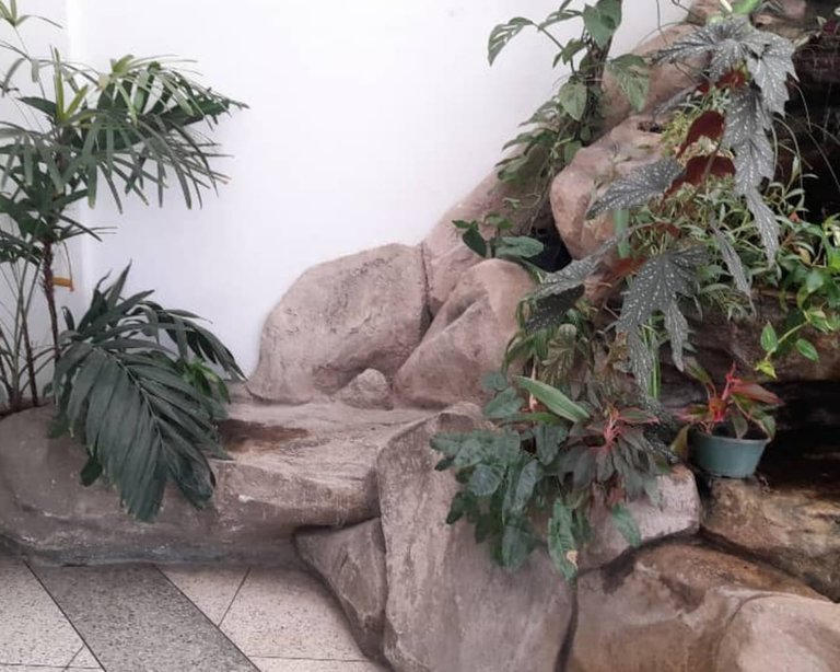 fuente (1).jpeg