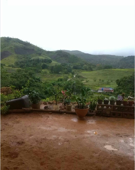 campo 1.png