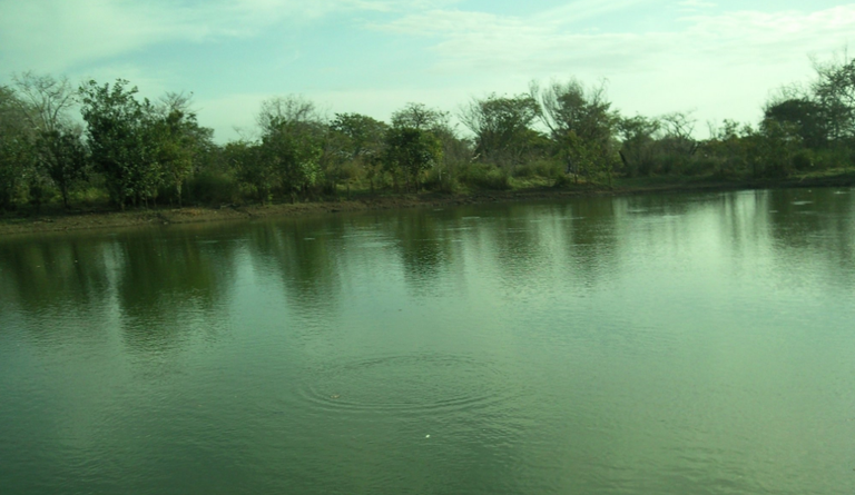 LLANO 7.png