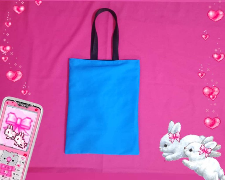 bolso (1).jpeg
