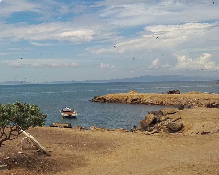 PLAYA (5).jpeg