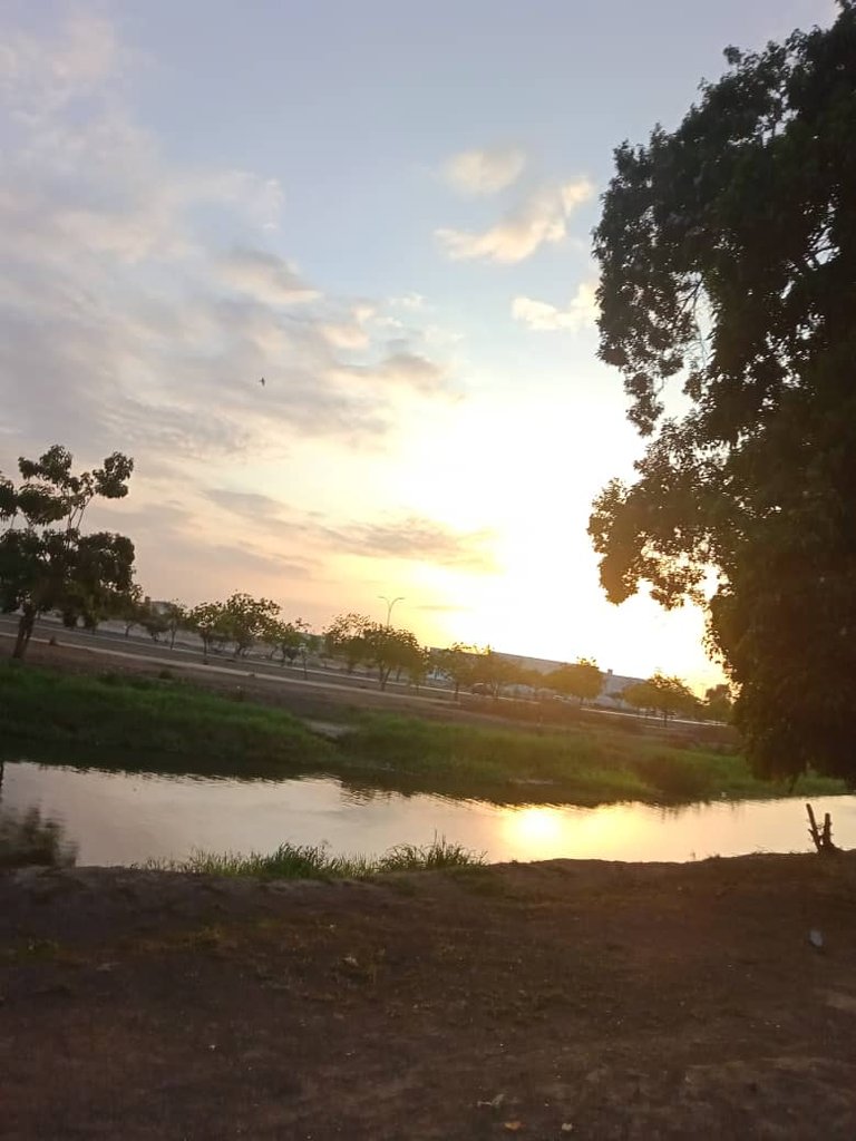 paseo vespertino parque ayacucho (33).jpeg