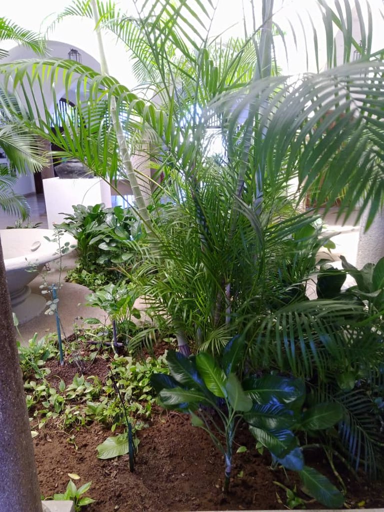 museo gran mariscal deayacucho (27).jpeg
