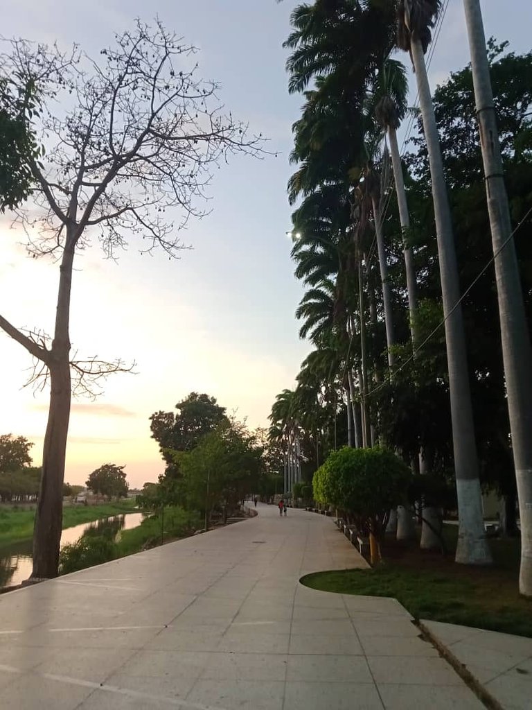 paseo vespertino parque ayacucho (5).jpeg