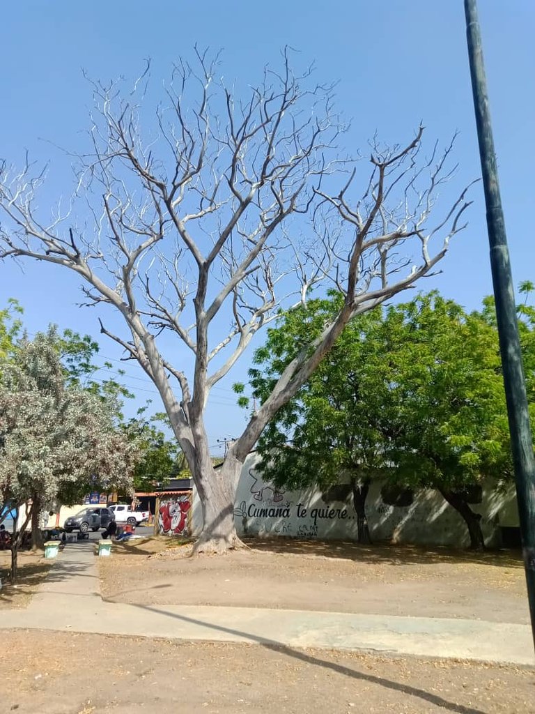 plaza juan bautistaarismenmdi (3).jpeg