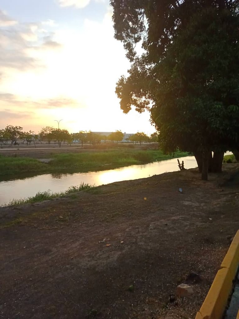 paseo vespertino parque ayacucho (29).jpeg
