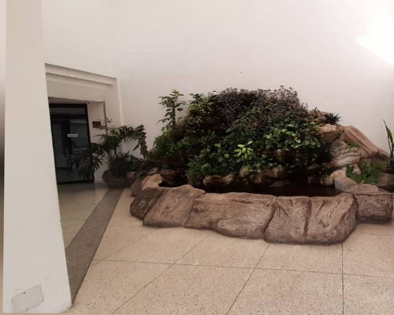 fuente (4).jpeg
