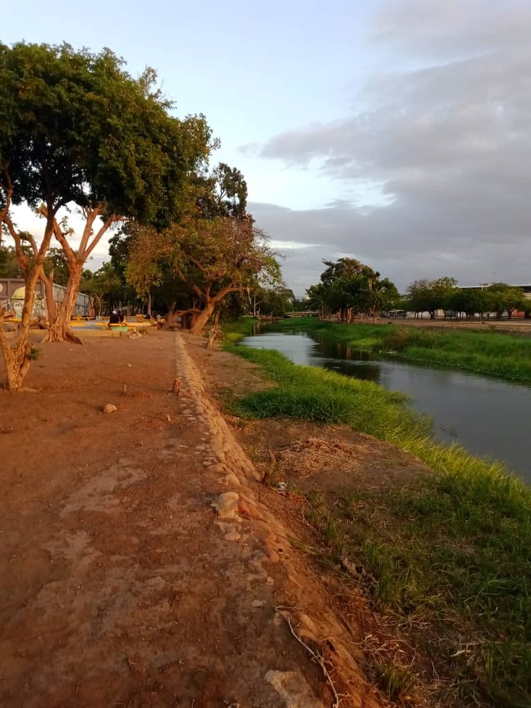 paseo vespertino parque ayacucho (18).jpeg