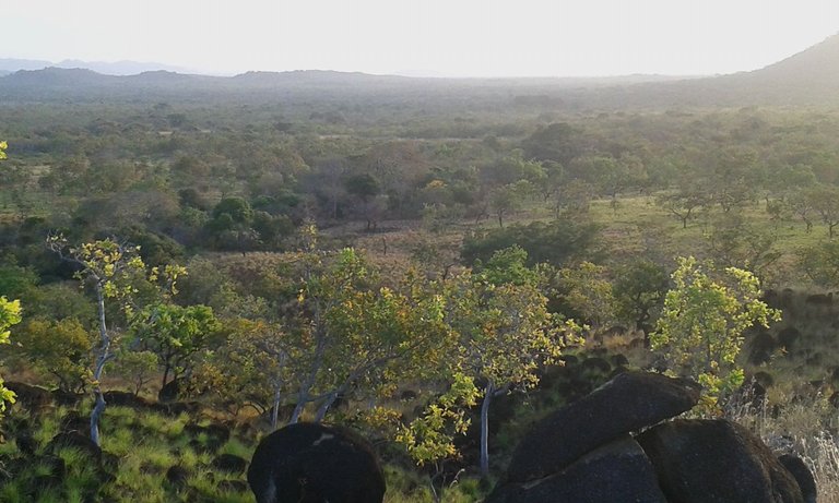 ORINOCO,PAN DEAZUCAR, CAICARITA,  PASO GABARRA (1).jpg