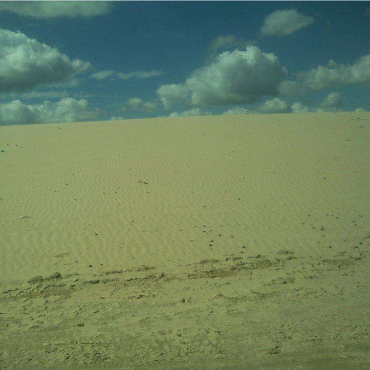 llano 11.png