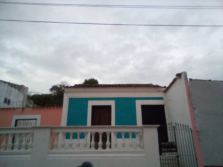 MAITA (1).jpeg