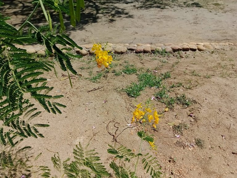 parque A (19).jpeg
