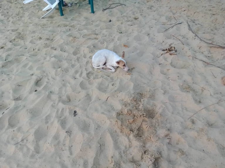 playa san luisss (78).jpeg