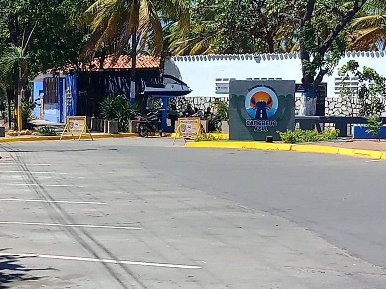 cangrejo azul (14).jpeg