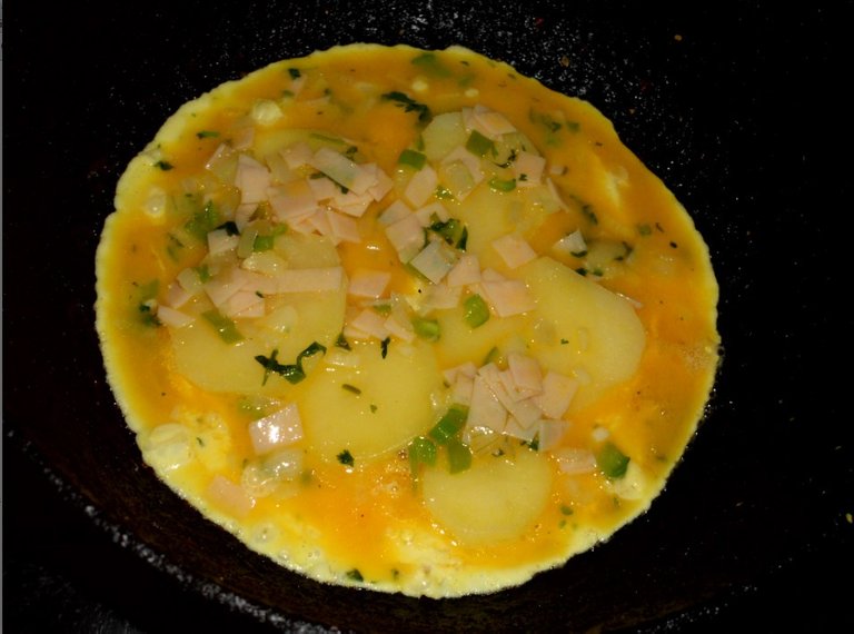 TORTILLA 3.jpg