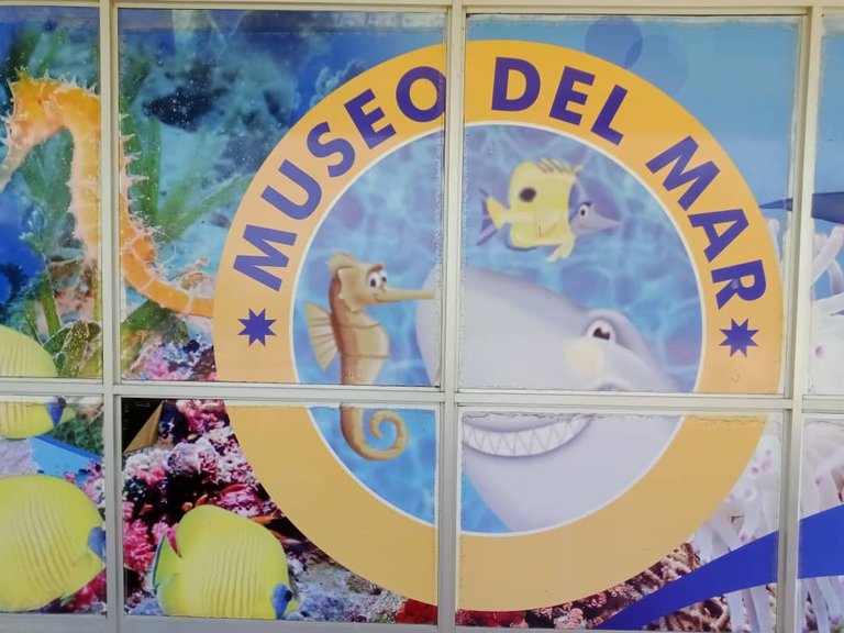 museo (19).jpeg