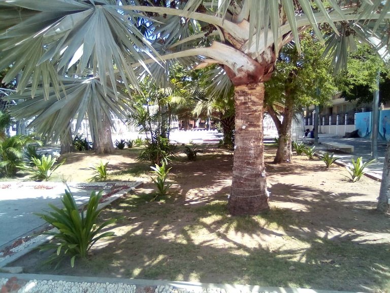 plaza bolívar cumaná (1).jpeg