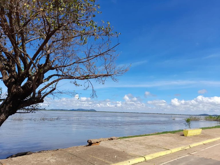 Río Orinoco (4).jpeg