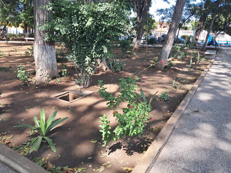plaza Bermúdez (2).jpeg