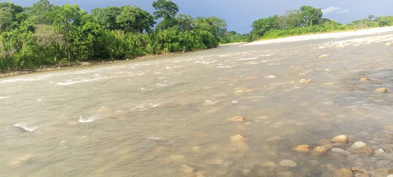 Río Sarare (10).jpeg