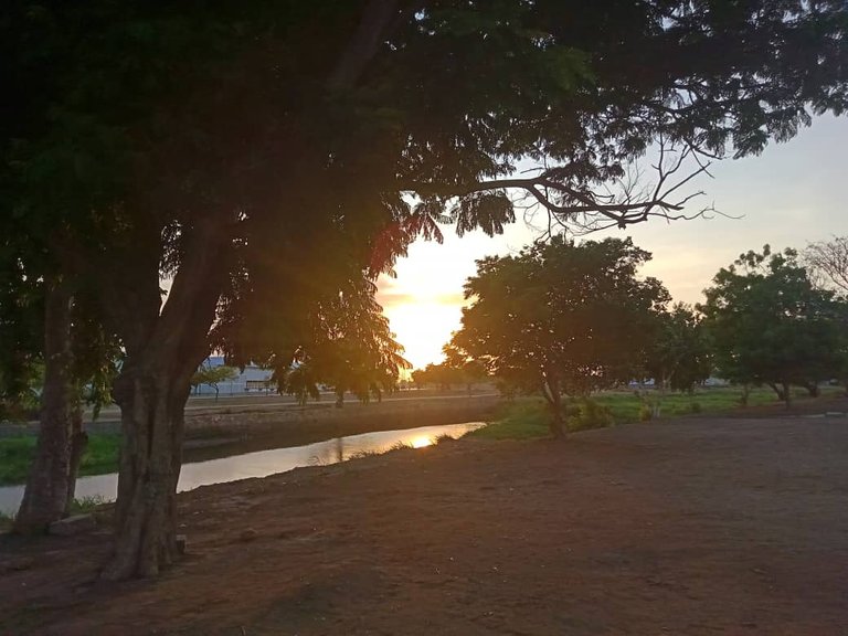 paseo vespertino parque ayacucho (23).jpeg