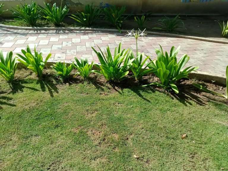 PLAZA HEROES DE CANTAURA (5).jpeg