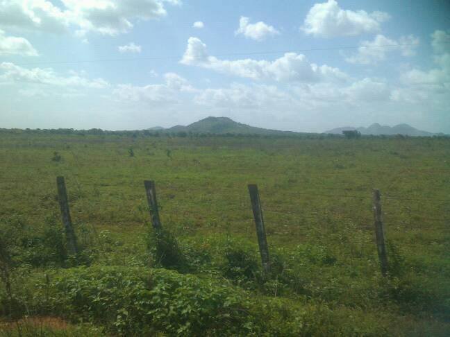 ORINOCO,PAN DEAZUCAR, CAICARITA,  PASO GABARRA (2).jpg