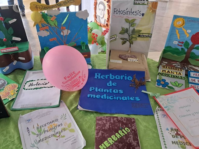 ambiente (13).jpeg
