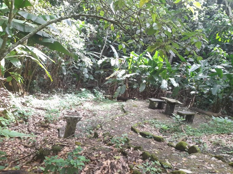 salto la páila (8).jpeg