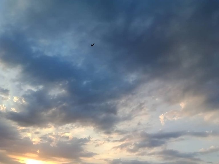 playa san luisss (91).jpeg