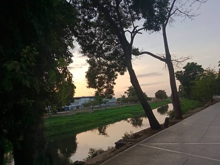 paseo vespertino parque ayacucho (9).jpeg
