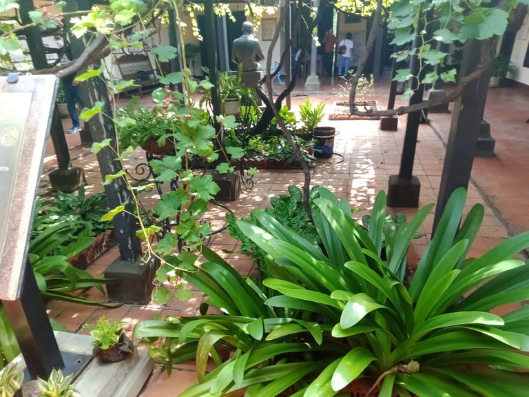 casa andres eloy (14).jpeg